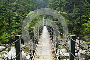 Foresta pluviale ponte paesi sul Giappone 